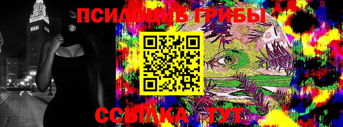Псилоцибиновые грибы мицелий  Вход с VPN  Ачхой-Мартан 