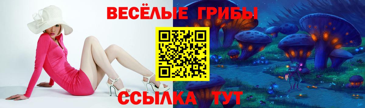 Псилоцибиновые грибы мицелий Ачхой-Мартан